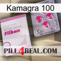 Kamagra 100 32